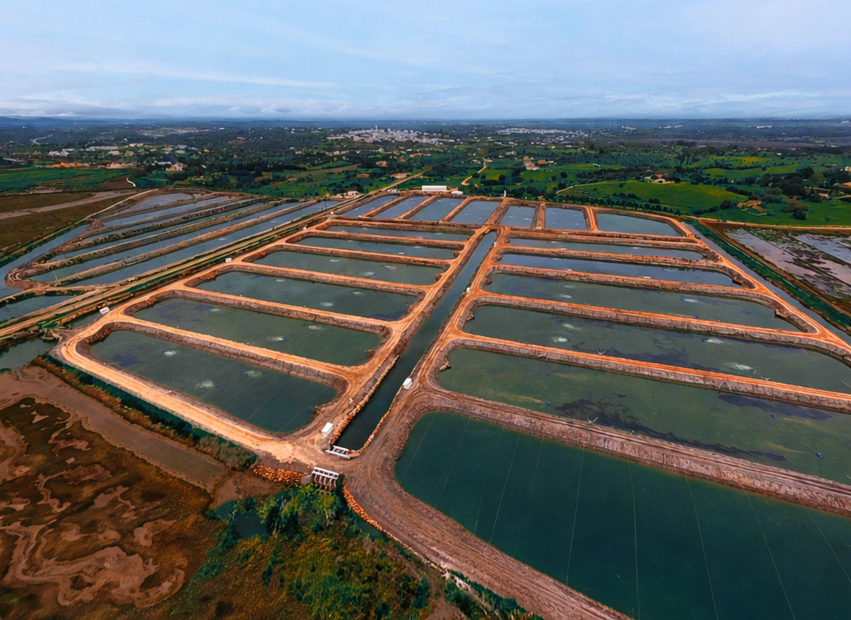 Fotografia aérea das quintas de aquacultura da NaturaFish no estuário algarvio: tanques geométricos de água entre diques de terra dourada.
